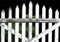 An old picket fence