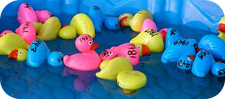 Ducks