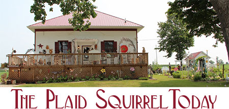 The Plaid Squirrel